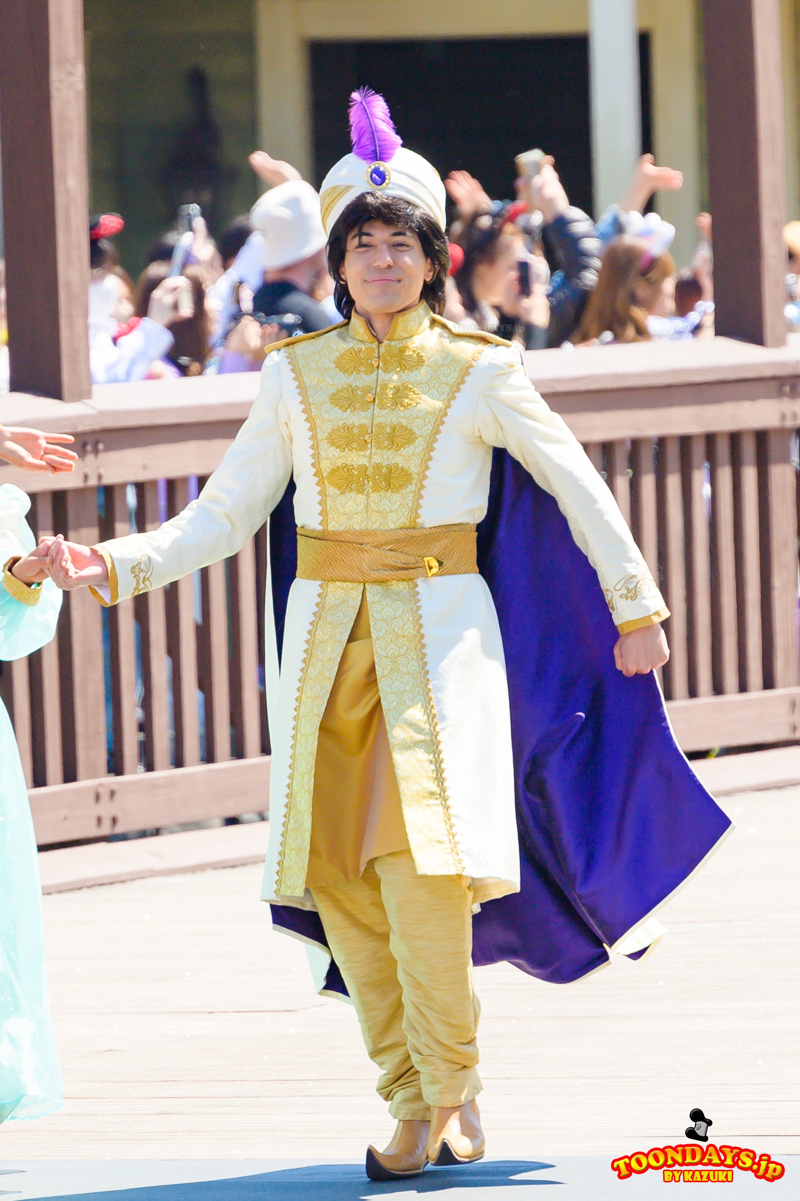 ディズニー・ハーモニー・イン・カラー
