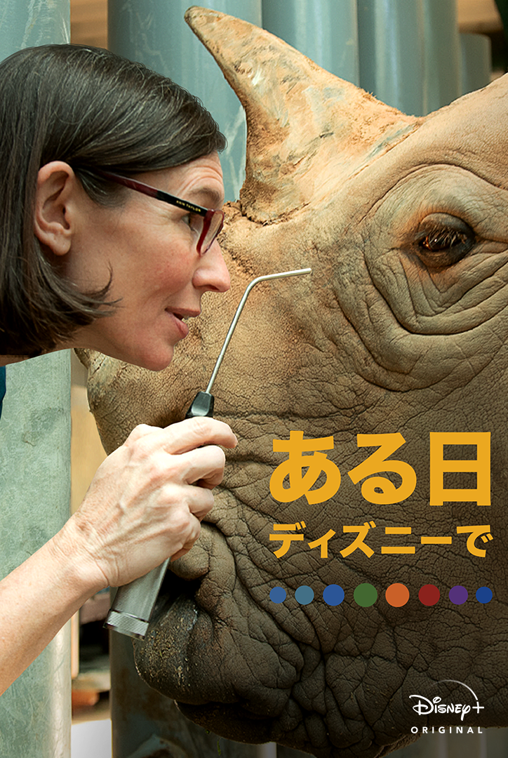 ある日ディズニーで