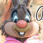 ブレア・ラビット（うさぎどん）