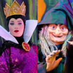 イーヴィルクイーンとウィックドウィッチのカード