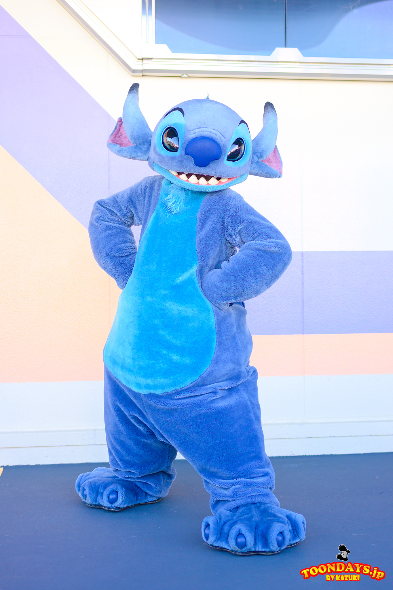 TDL トゥモローランド フリーグリーティング スティッチ