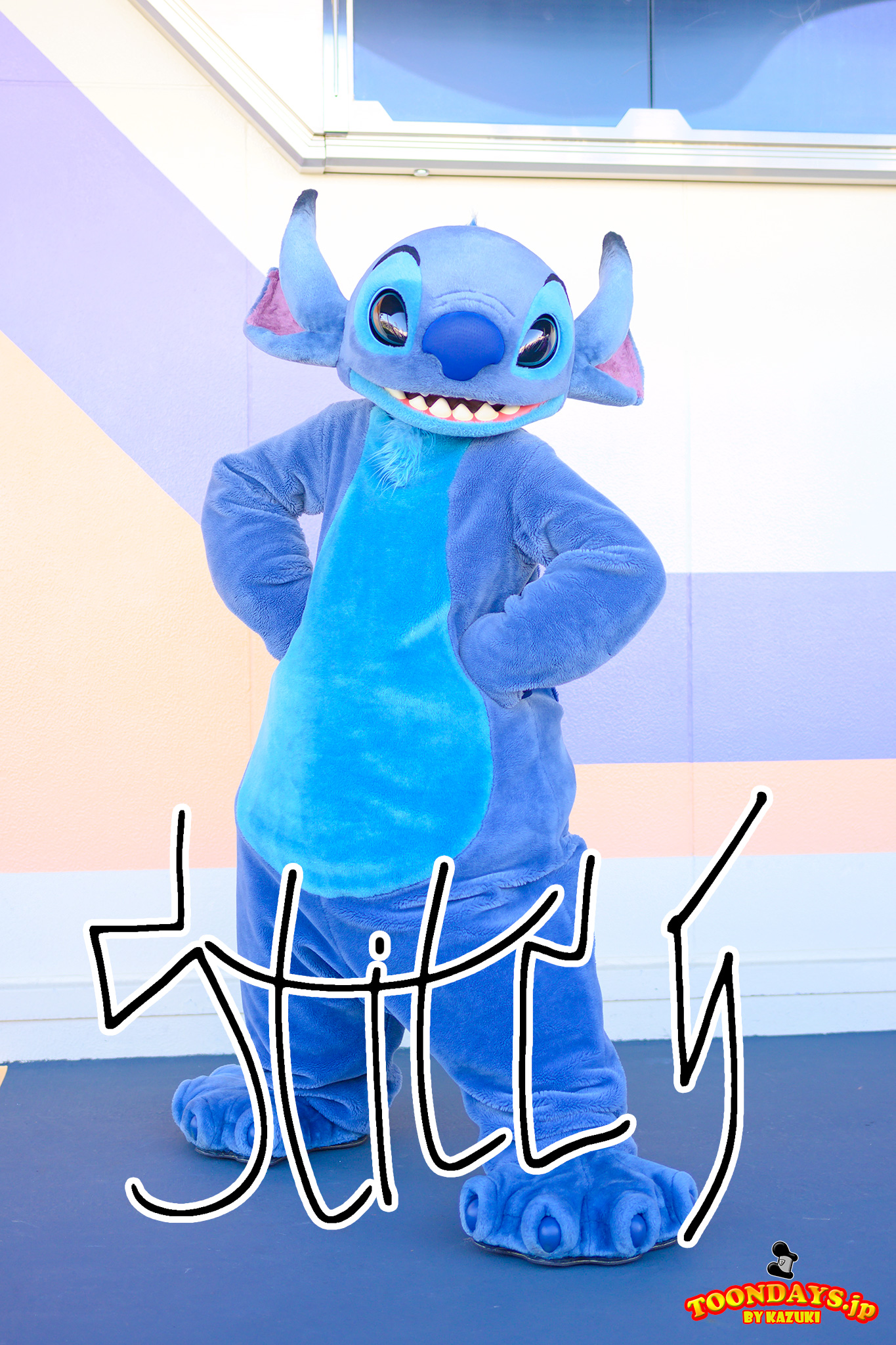 スティッチプロフィール