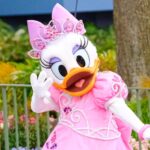 デイジーダック