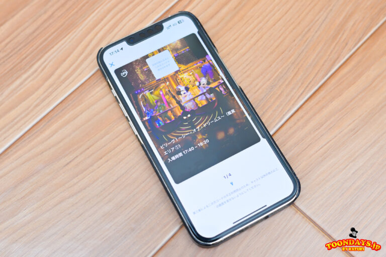 TDR ディズニー・プレミアアクセス（DPA）