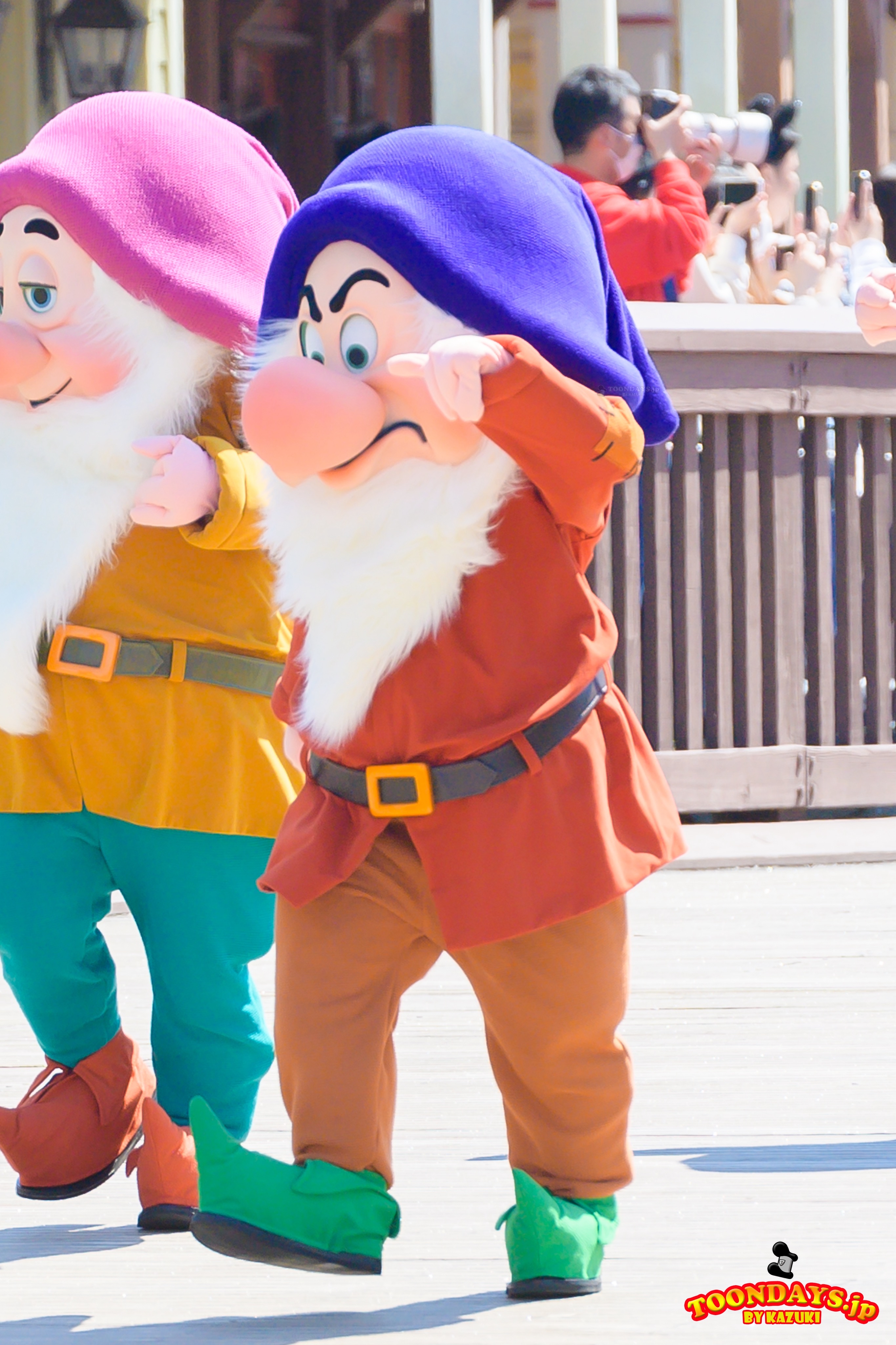 TDL ディズニー・ハーモニー・イン・カラー 7人のこびと グランピー