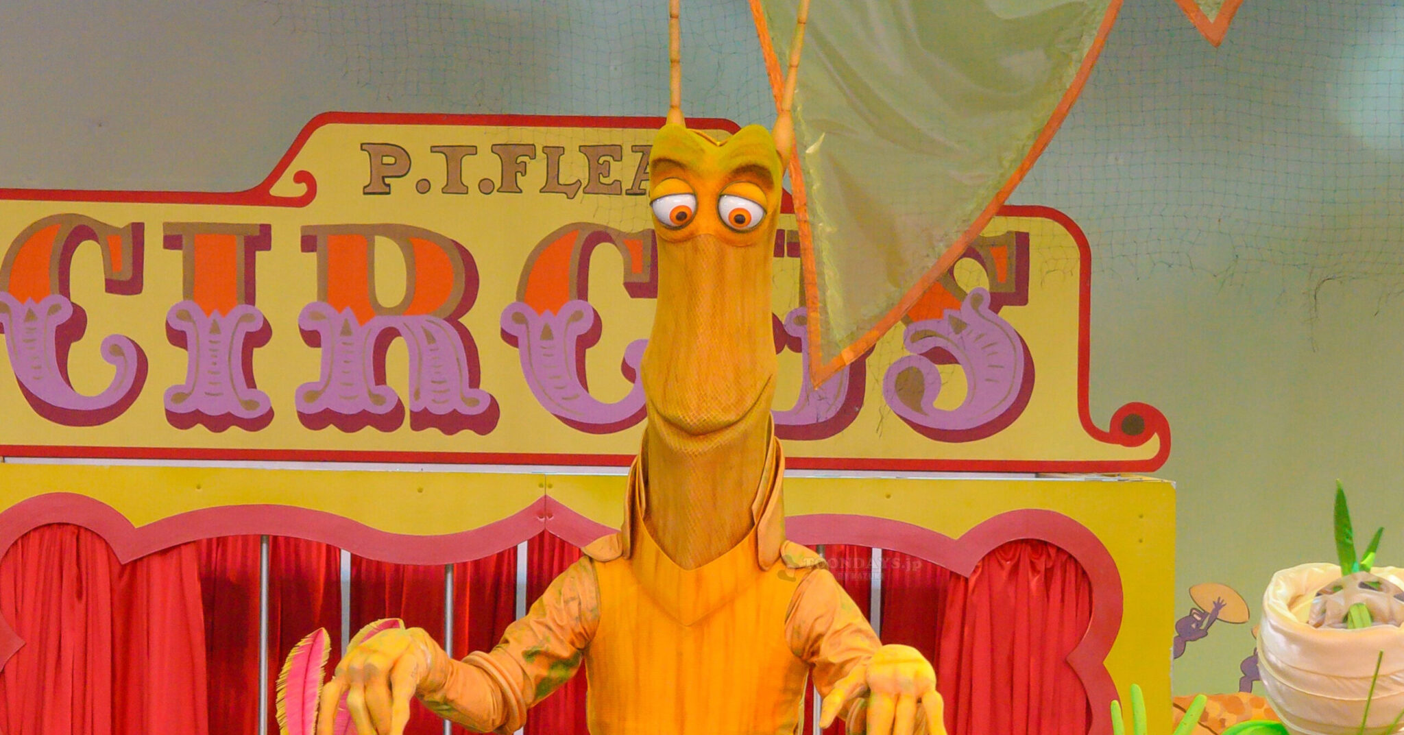 スリムのカード