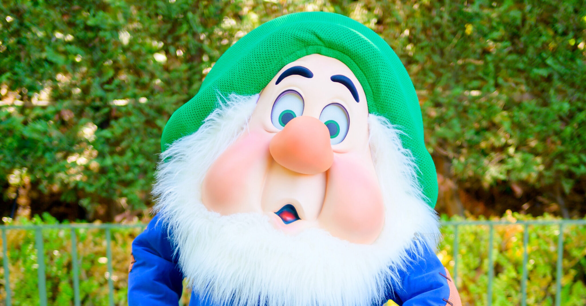 スニージーのカード