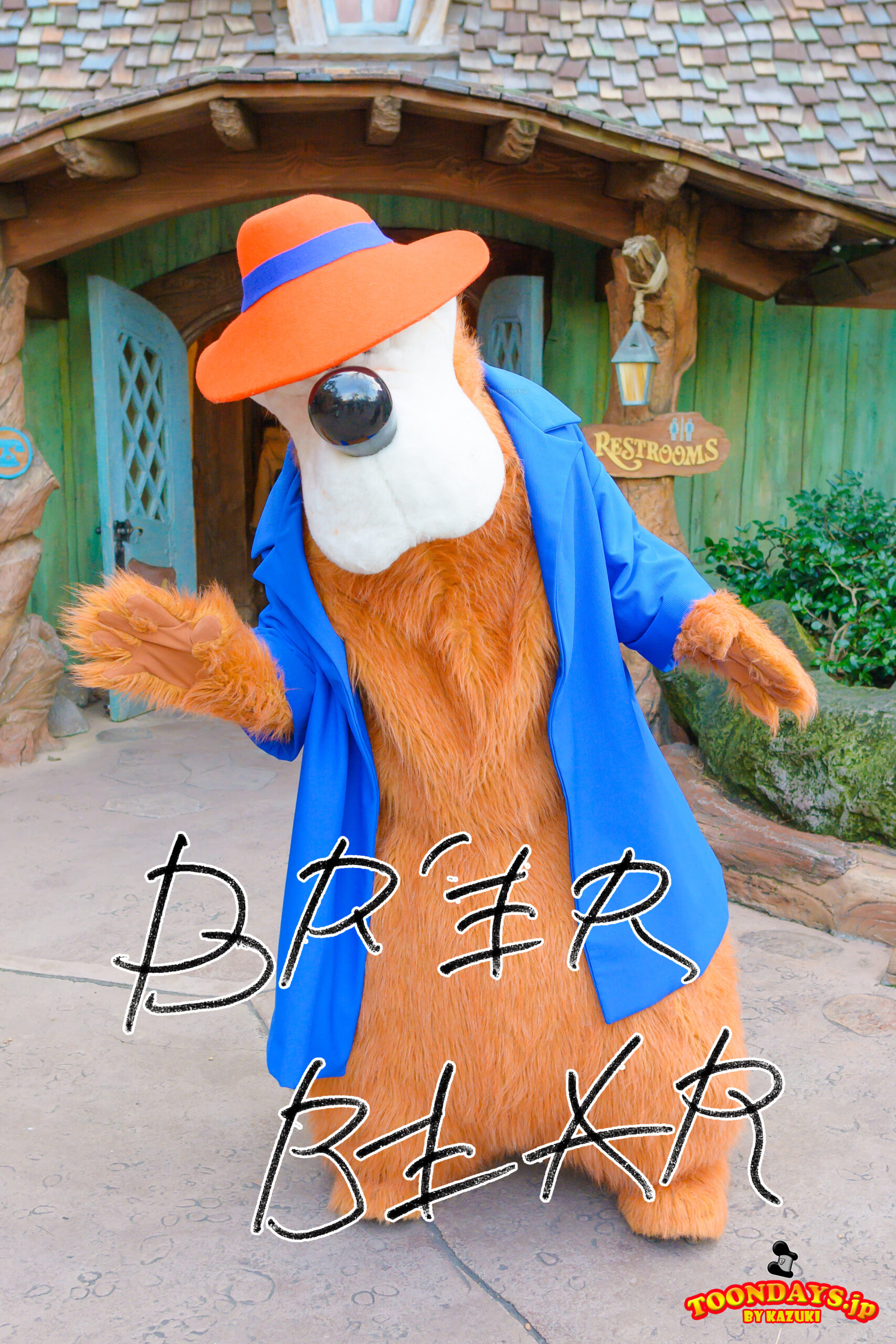 ブレア・ベア（くまどん）のプロフィール