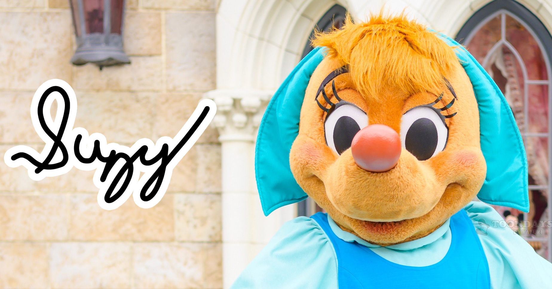 スージーのカード