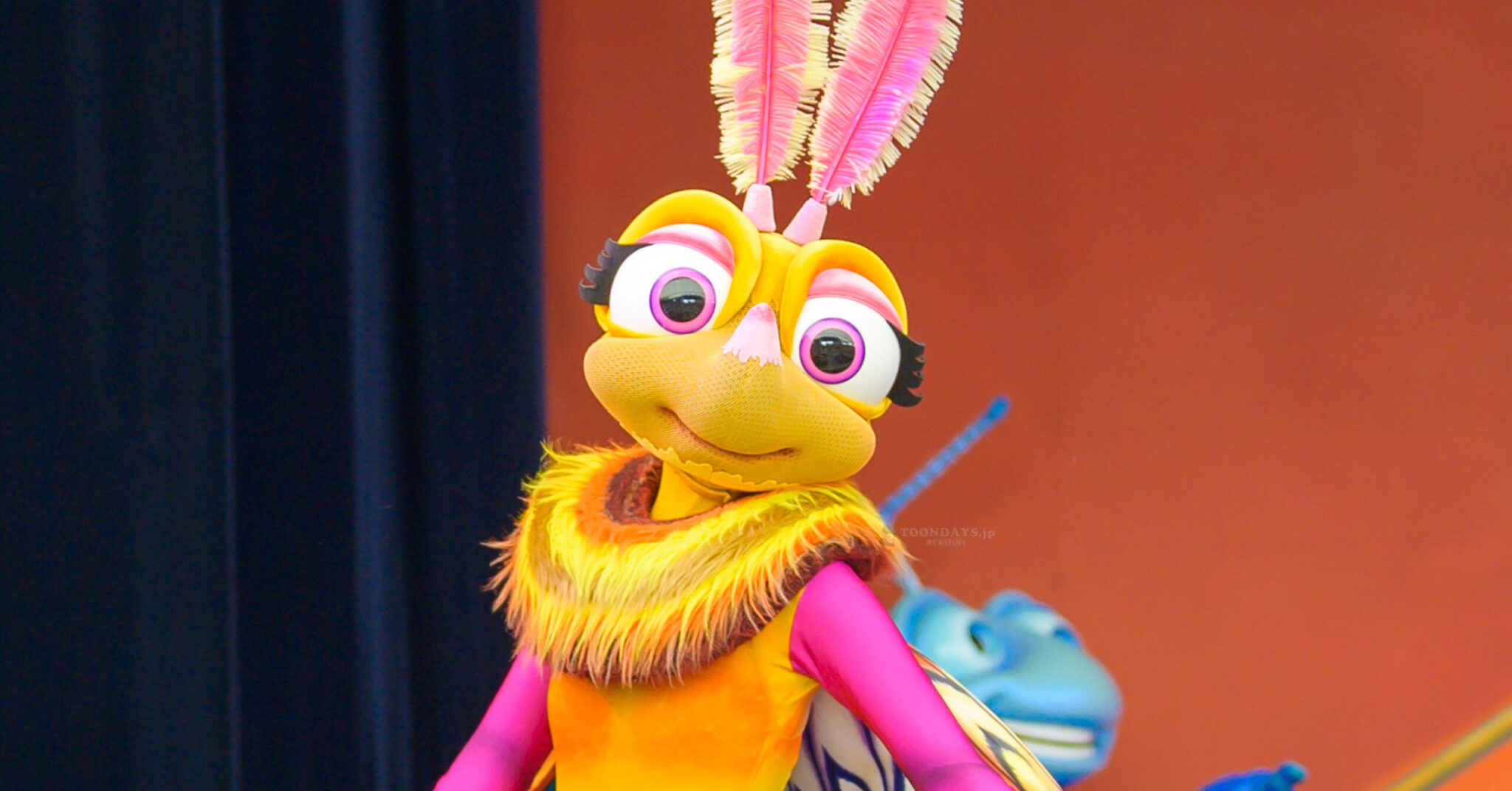 ジプシーのカード