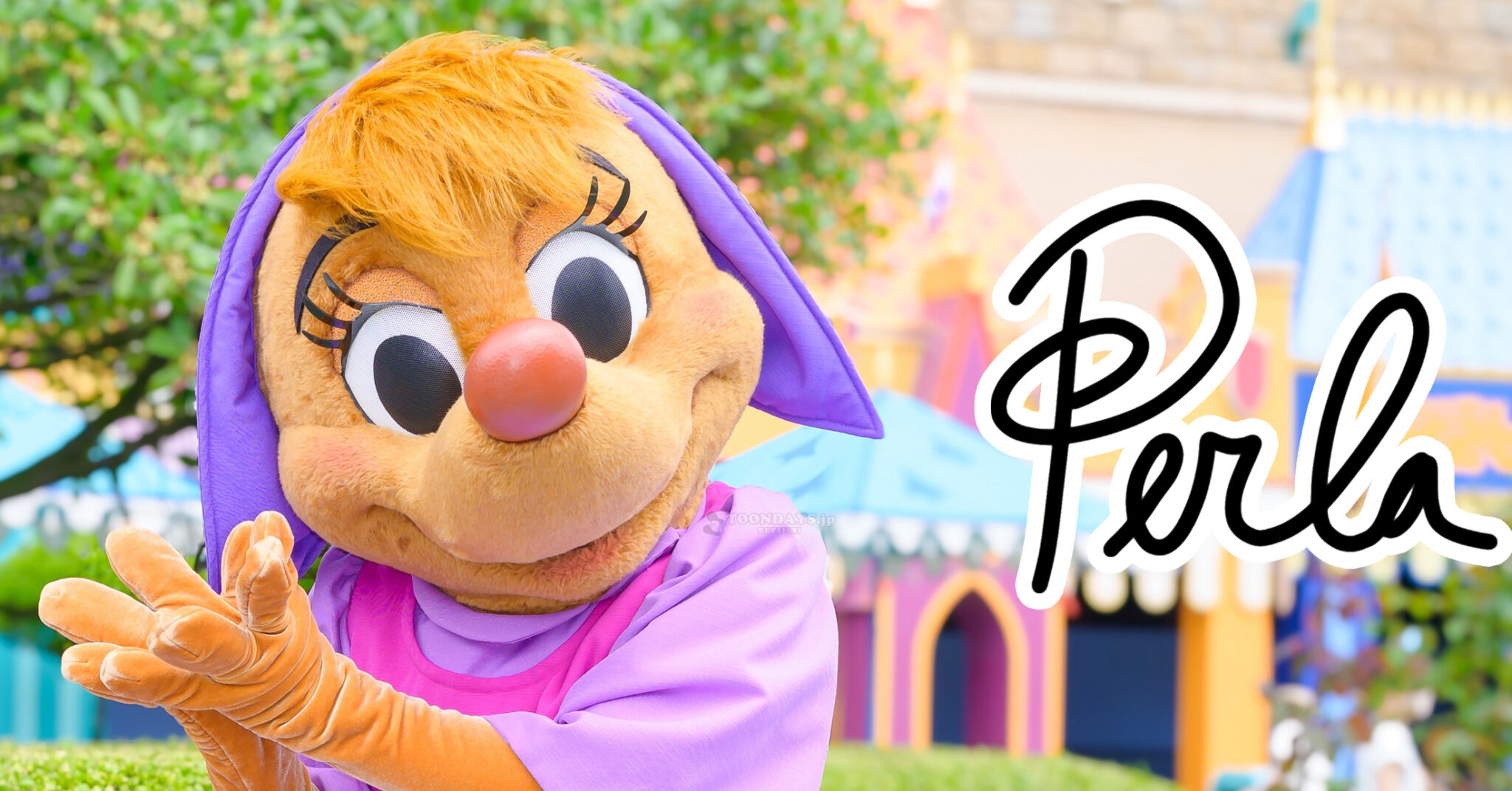 パーラのカード