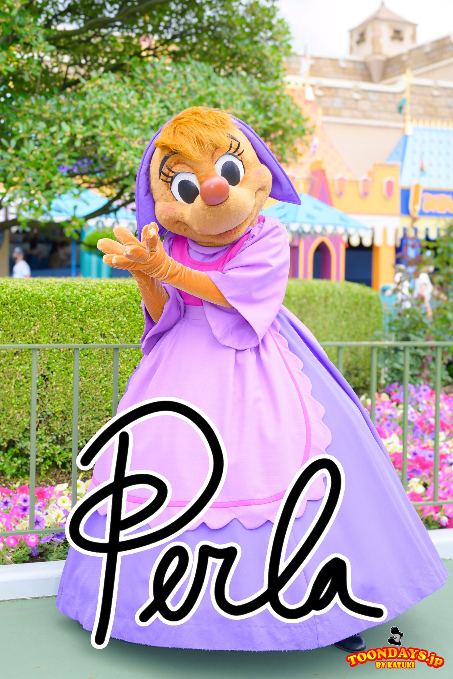 パーラのプロフィール