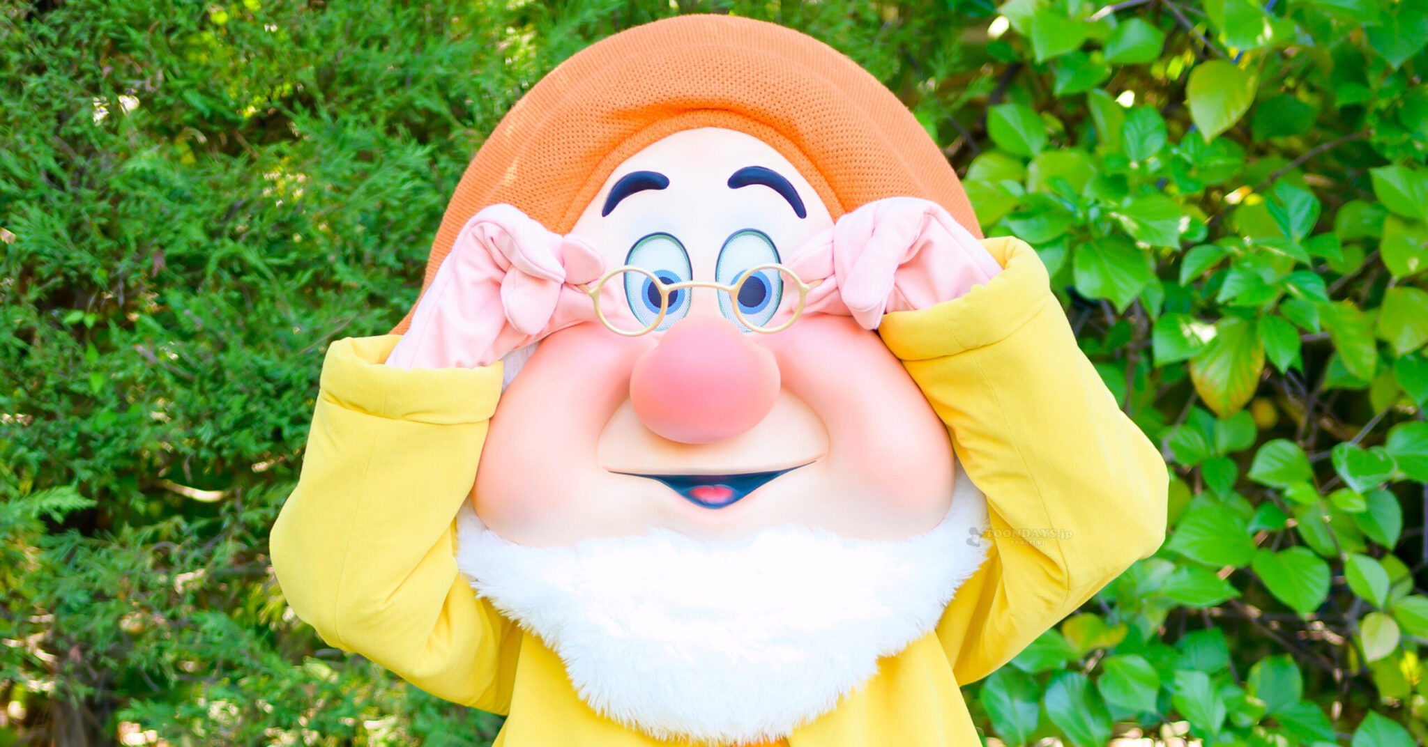 ドックのカード