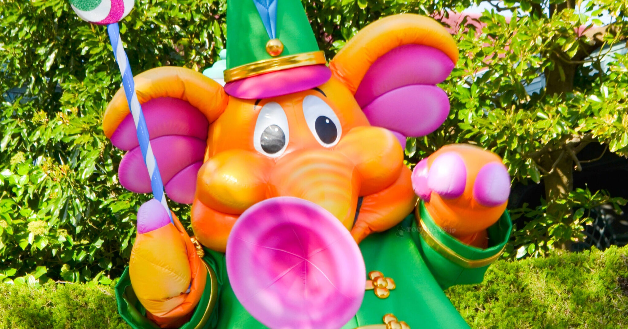 ズオウのカード