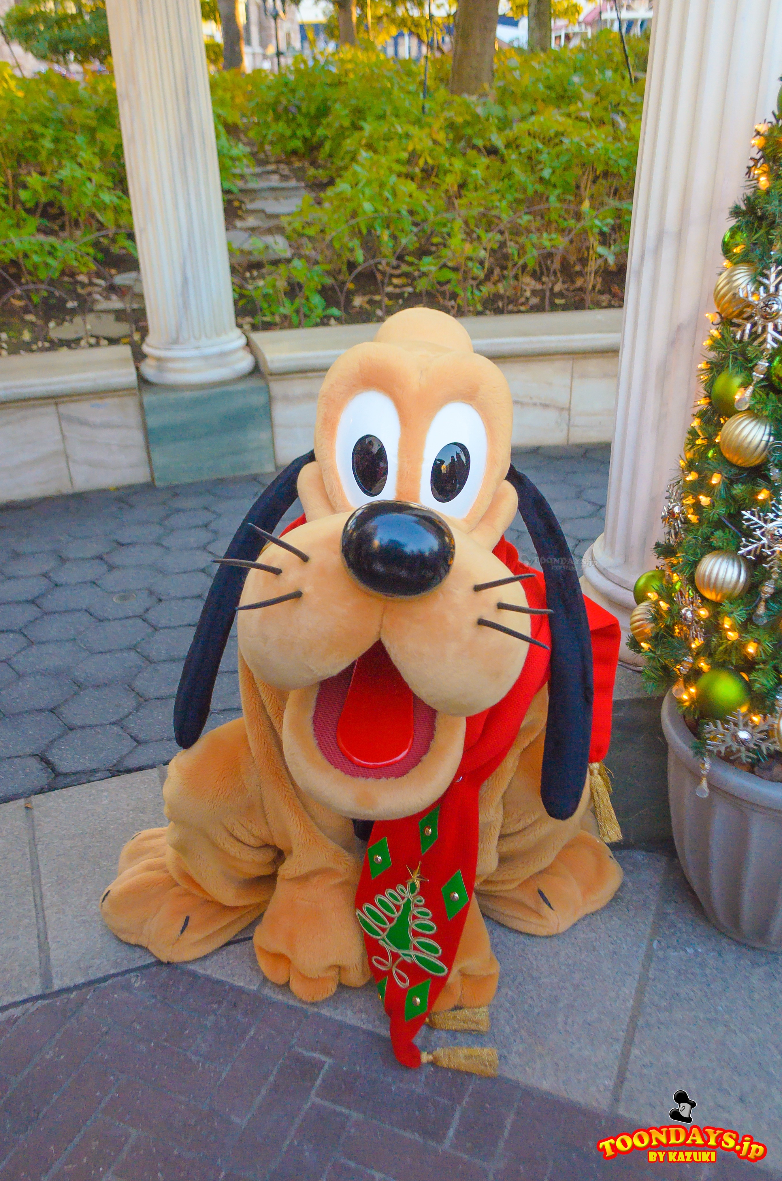 TDS クリスマス アメリカンウォーターフロント フリーグリーティング プルート