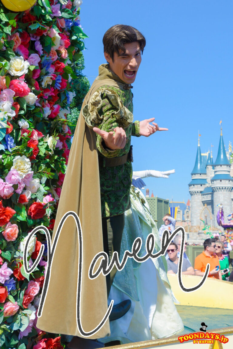 ナヴィーン王子のプロフィール