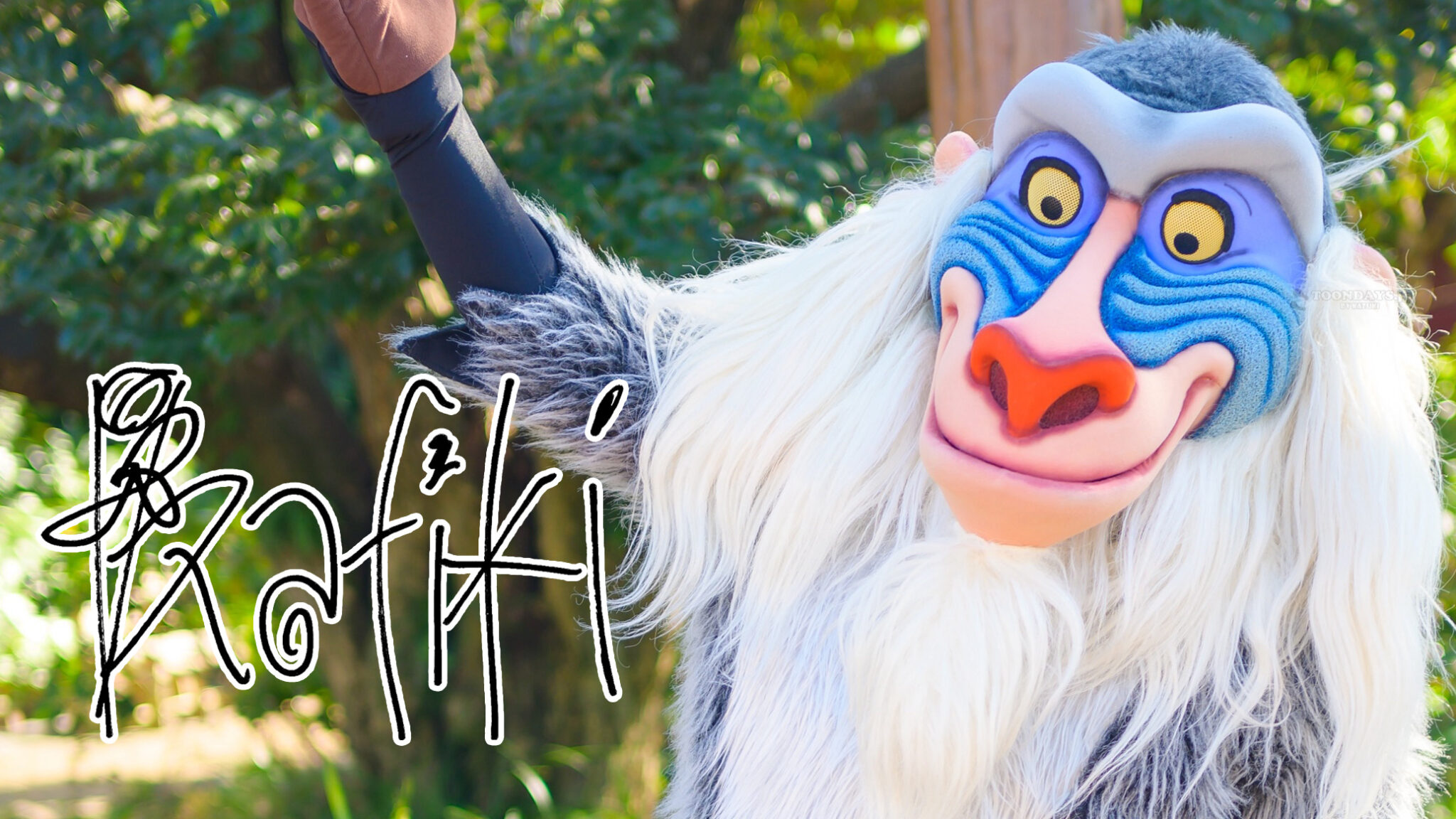 ラフィキのカード