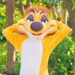 ライオンキング