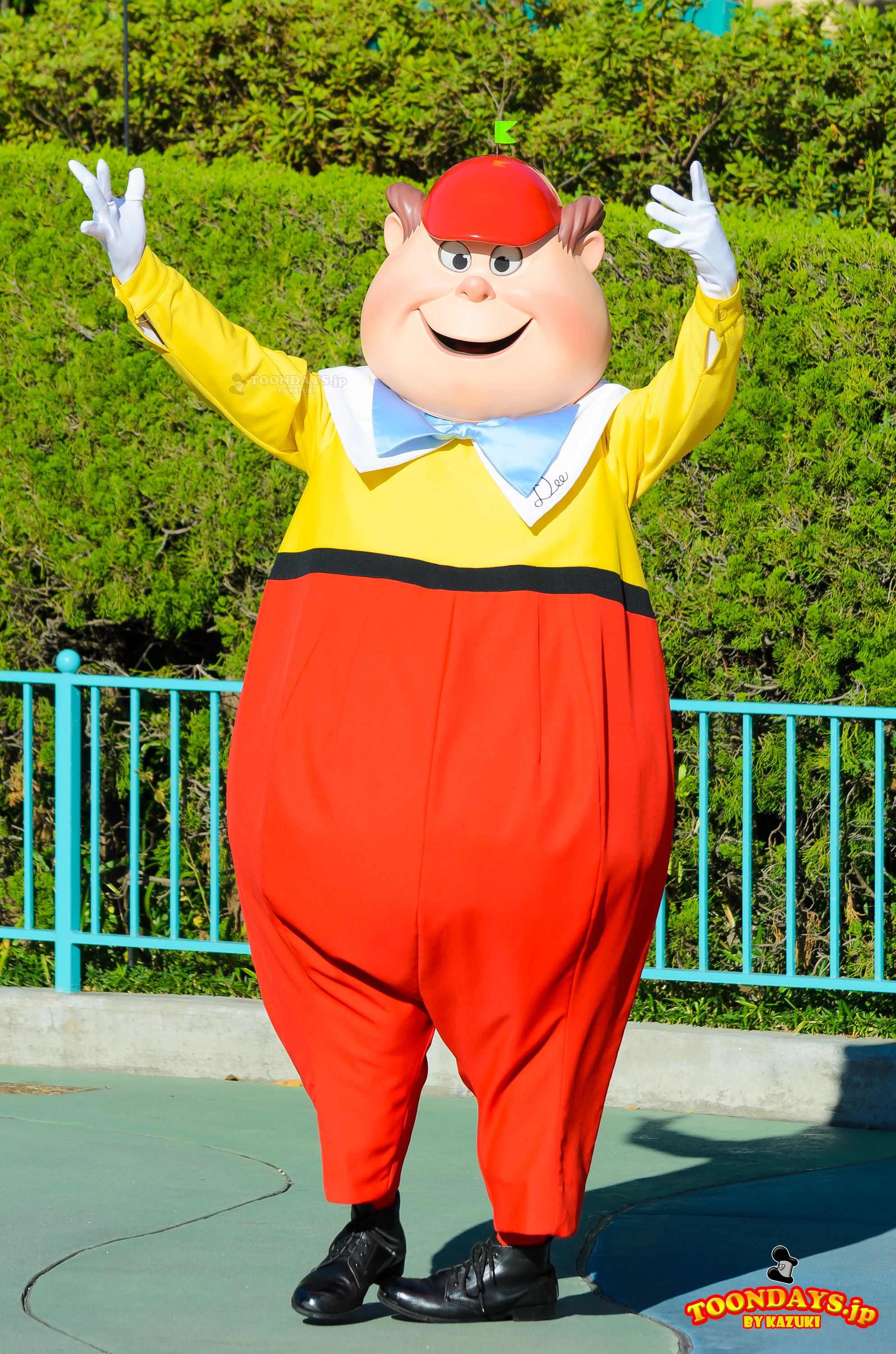 TDL ハピネス・イズ・ヒア トゥイードル・ディー
