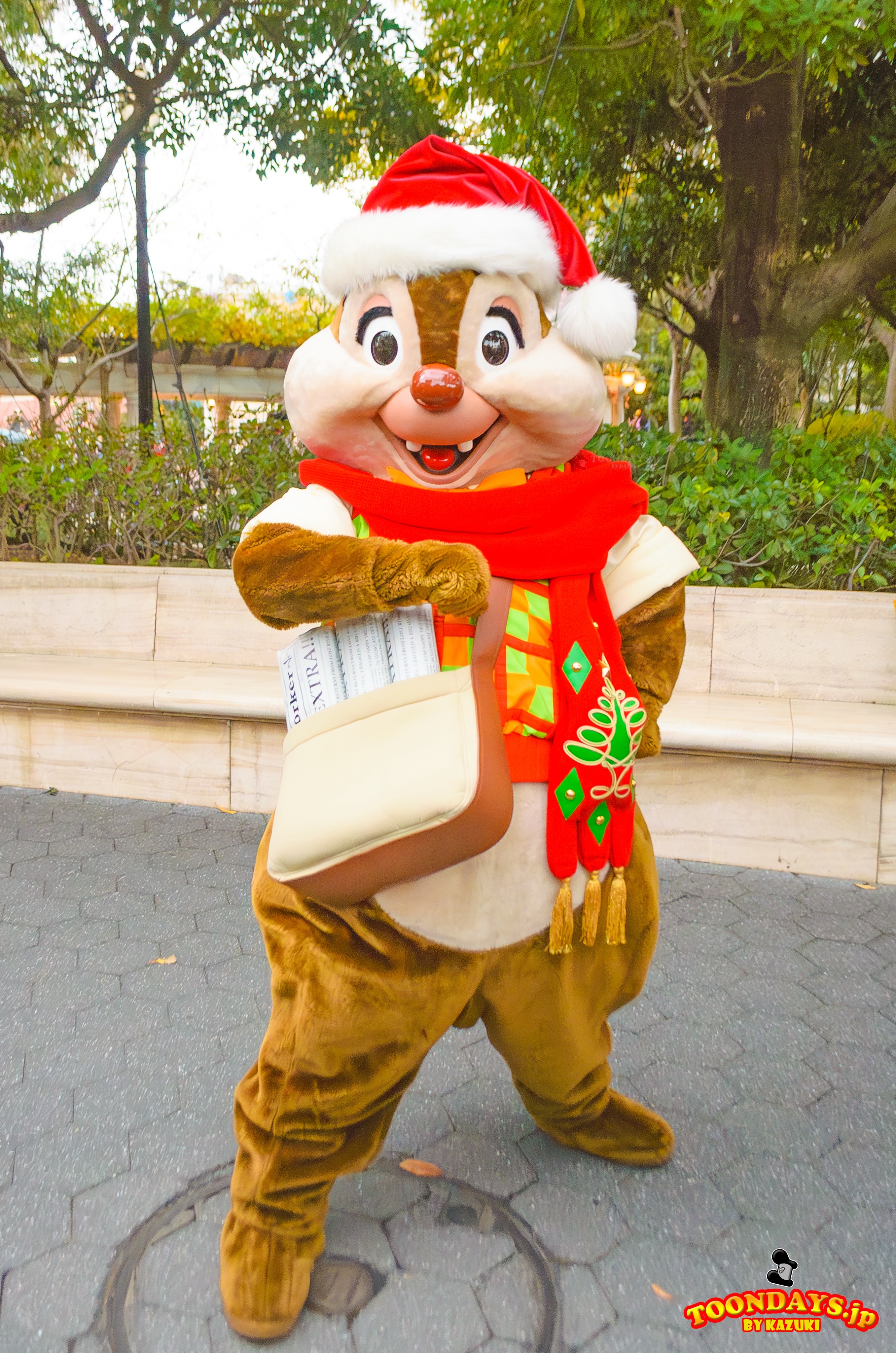 TDS クリスマス アメリカンウォーターフロント フリーグリーティング デール