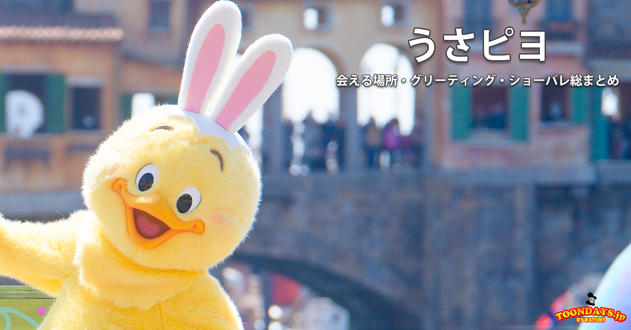 うさピヨのカード