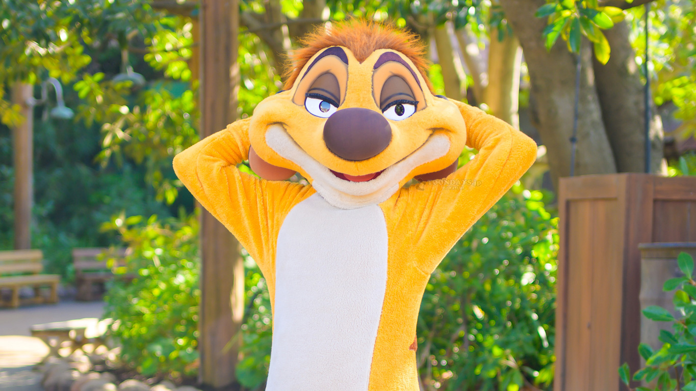 ティモンのカード