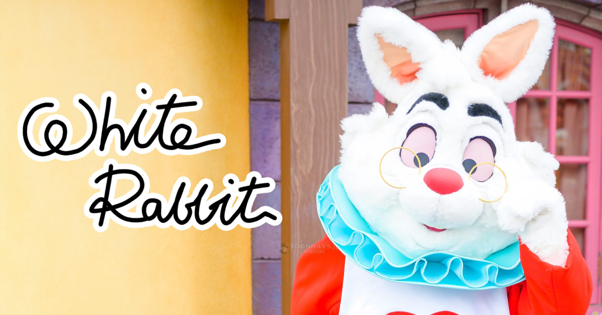 ホワイトラビットのカード