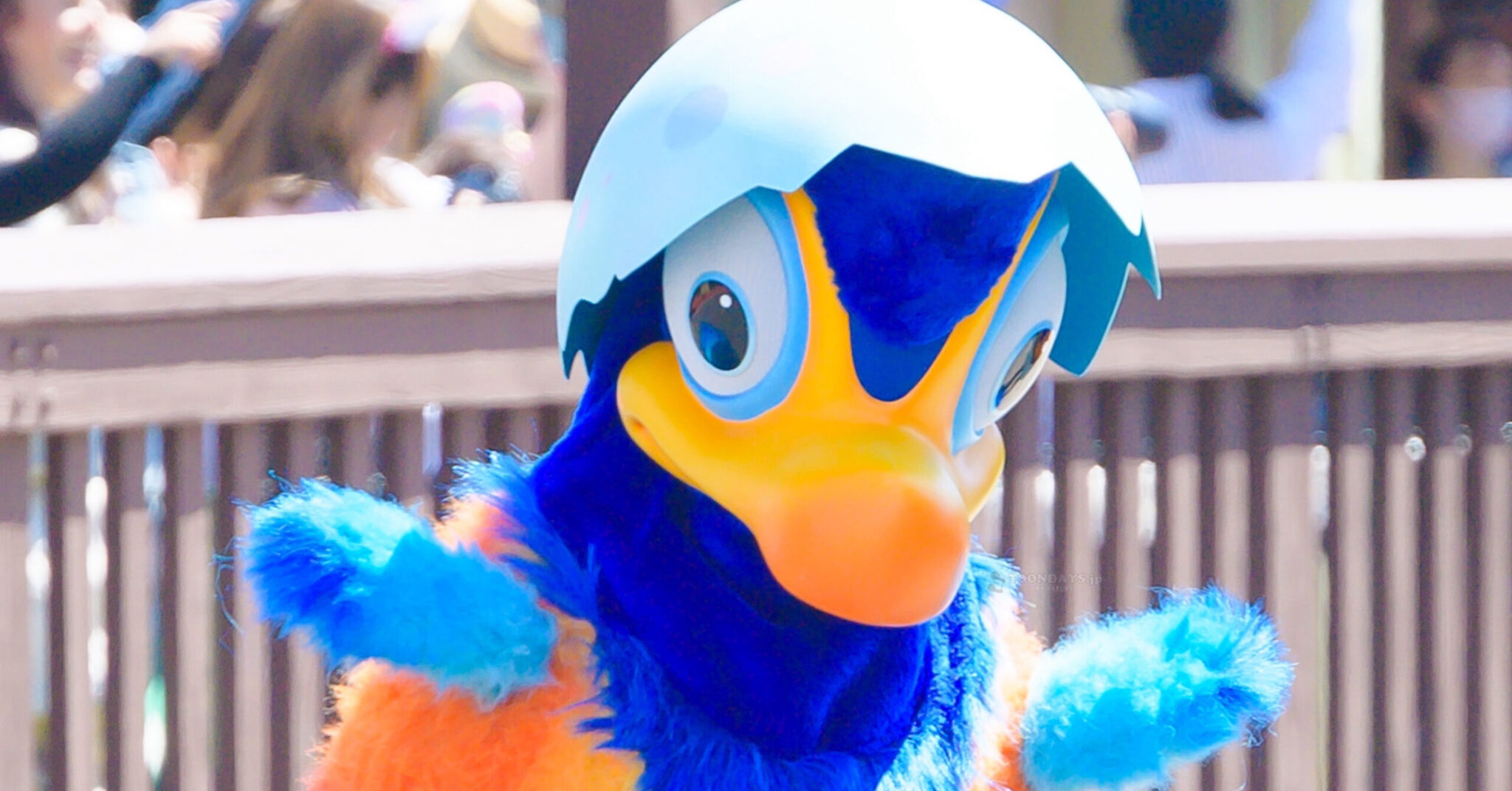 ケヴィンの子どものカード