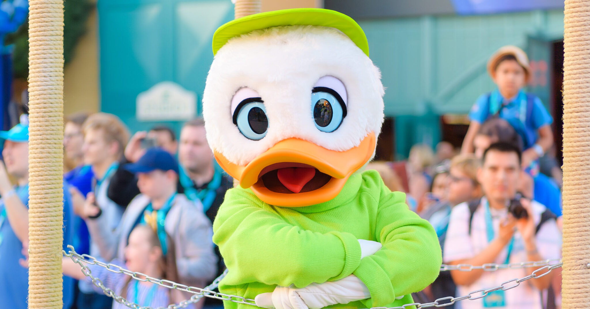 ルーイのカード