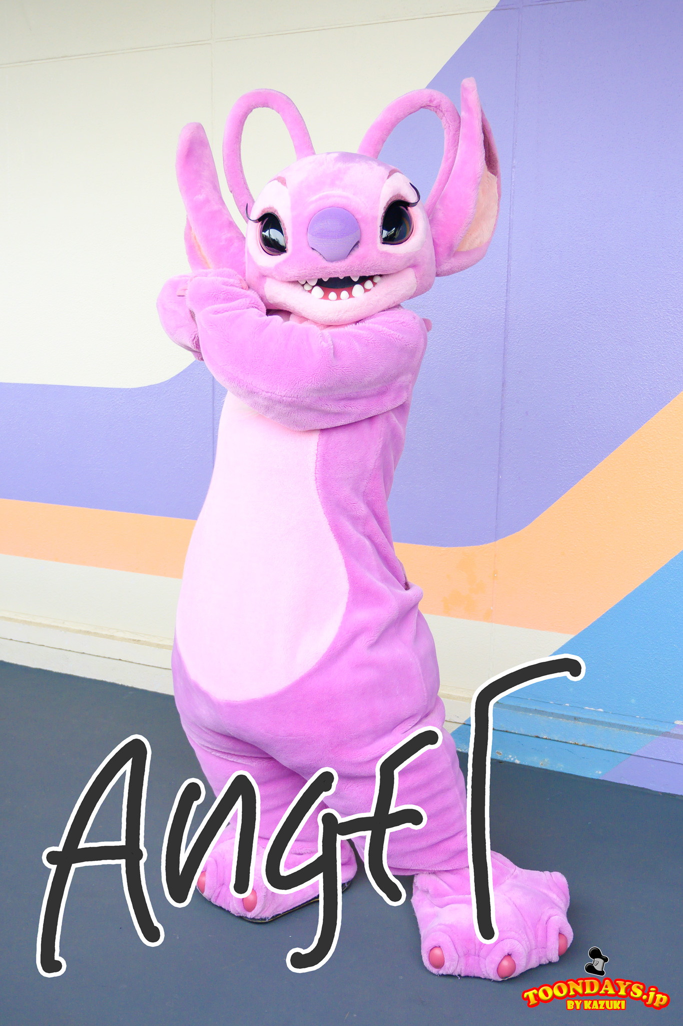 エンジェルのプロフィール