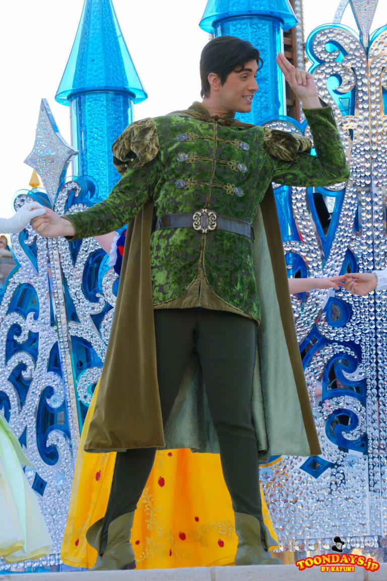 DLP ザ・スターリット・プリンセス・ワルツ ナヴィーン