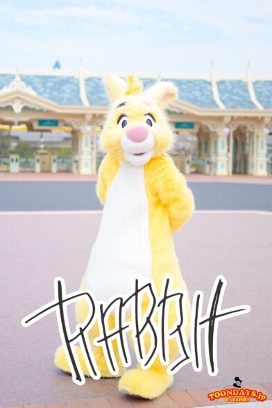 イエローラビットのプロフィール