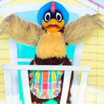 クララ・クラック