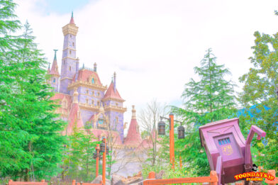 TDL ファンタジーランド 風景