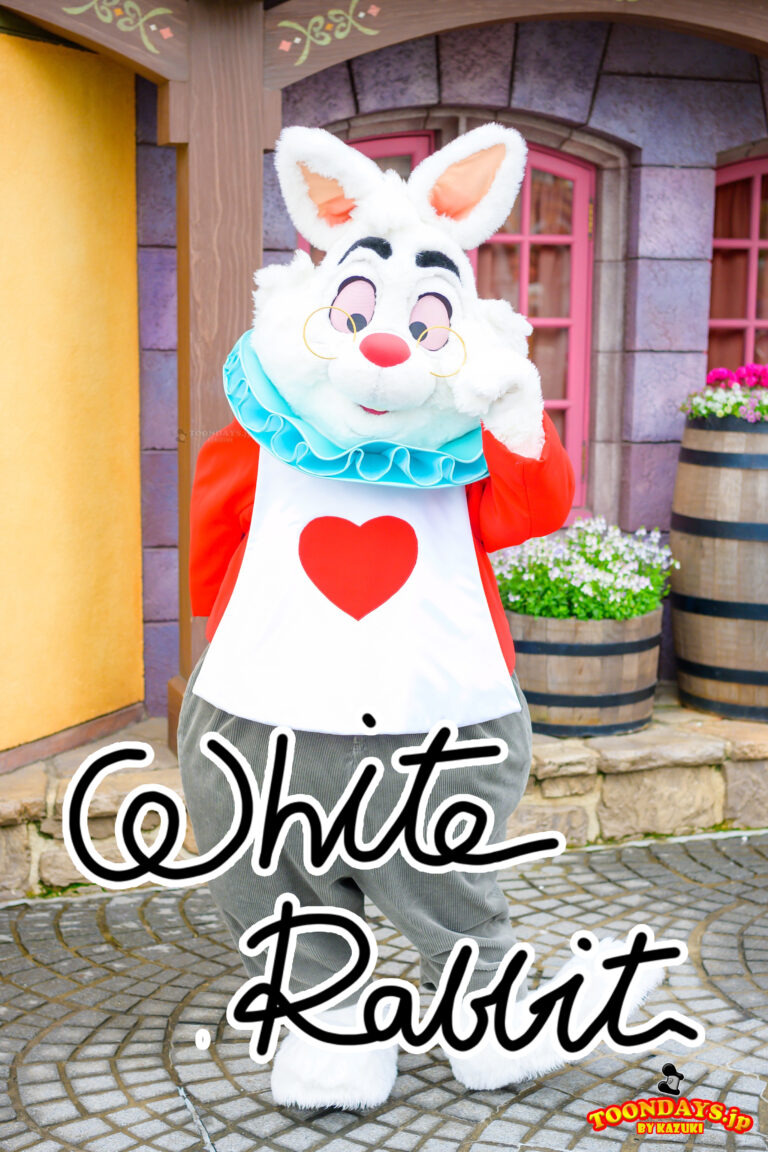 ホワイトラビットのプロフィール