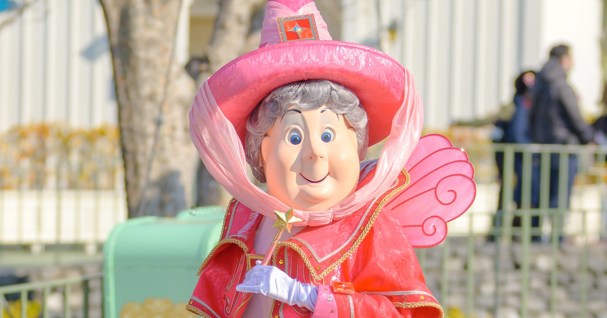 フローラのカード