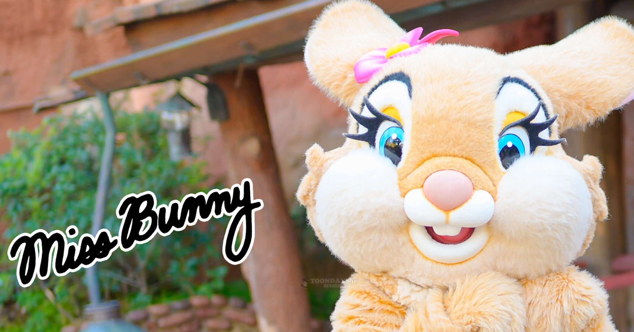 ミス・バニーのカード