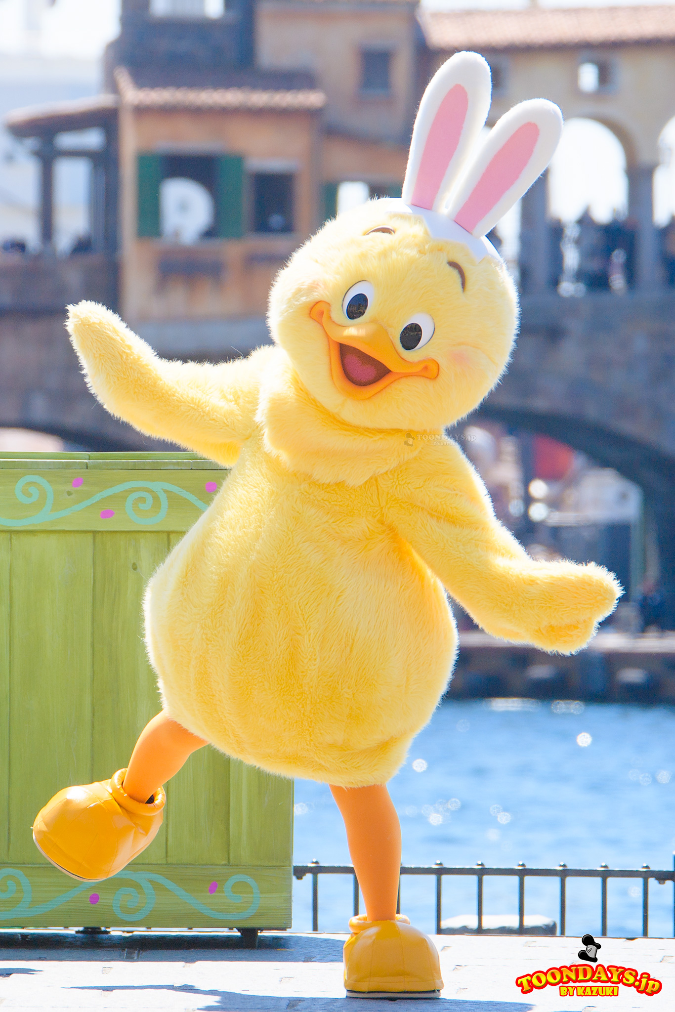 うさピヨのプロフィール