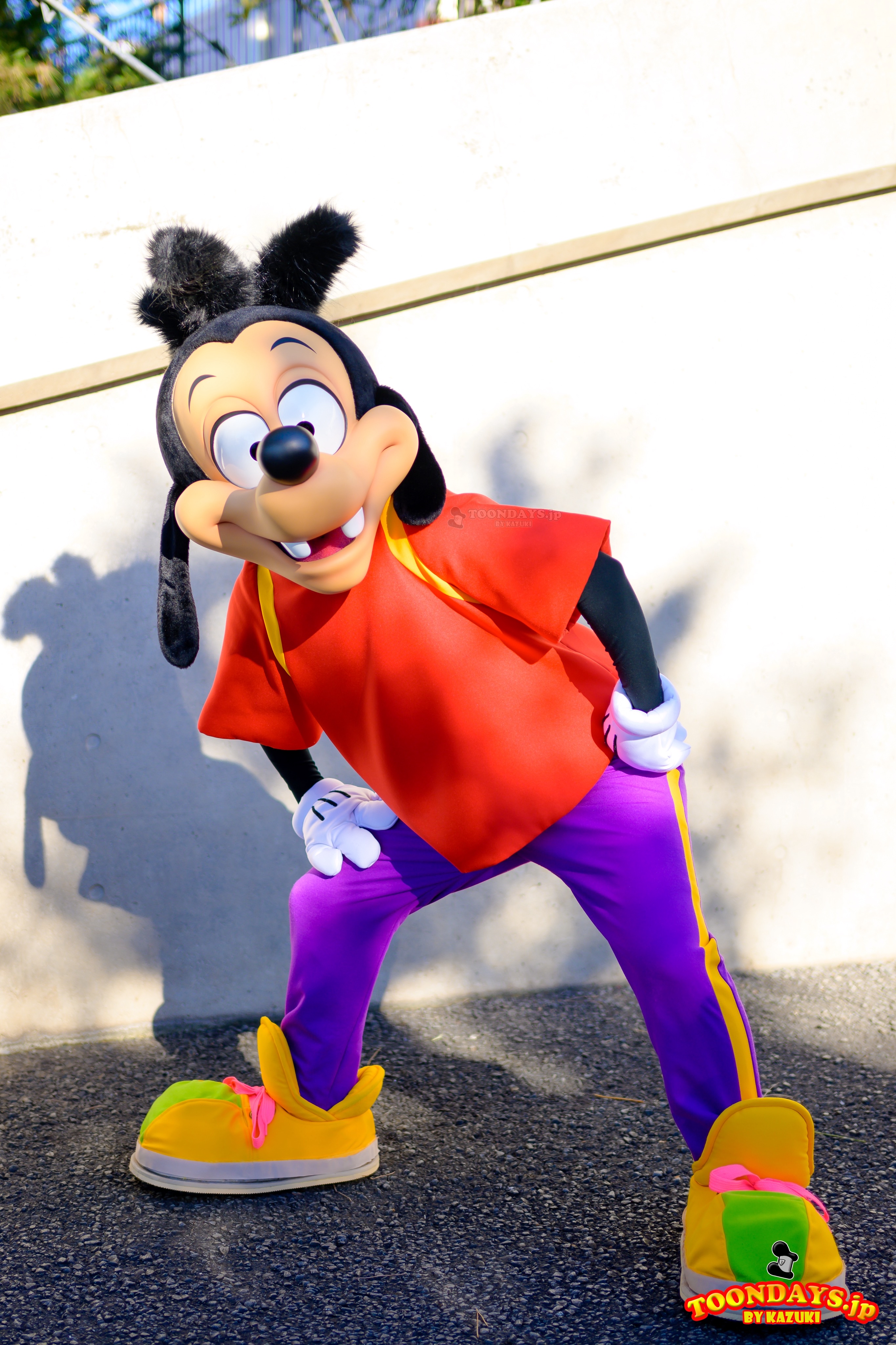 TDS ポートディスカバリー フリーグリーティング マックス