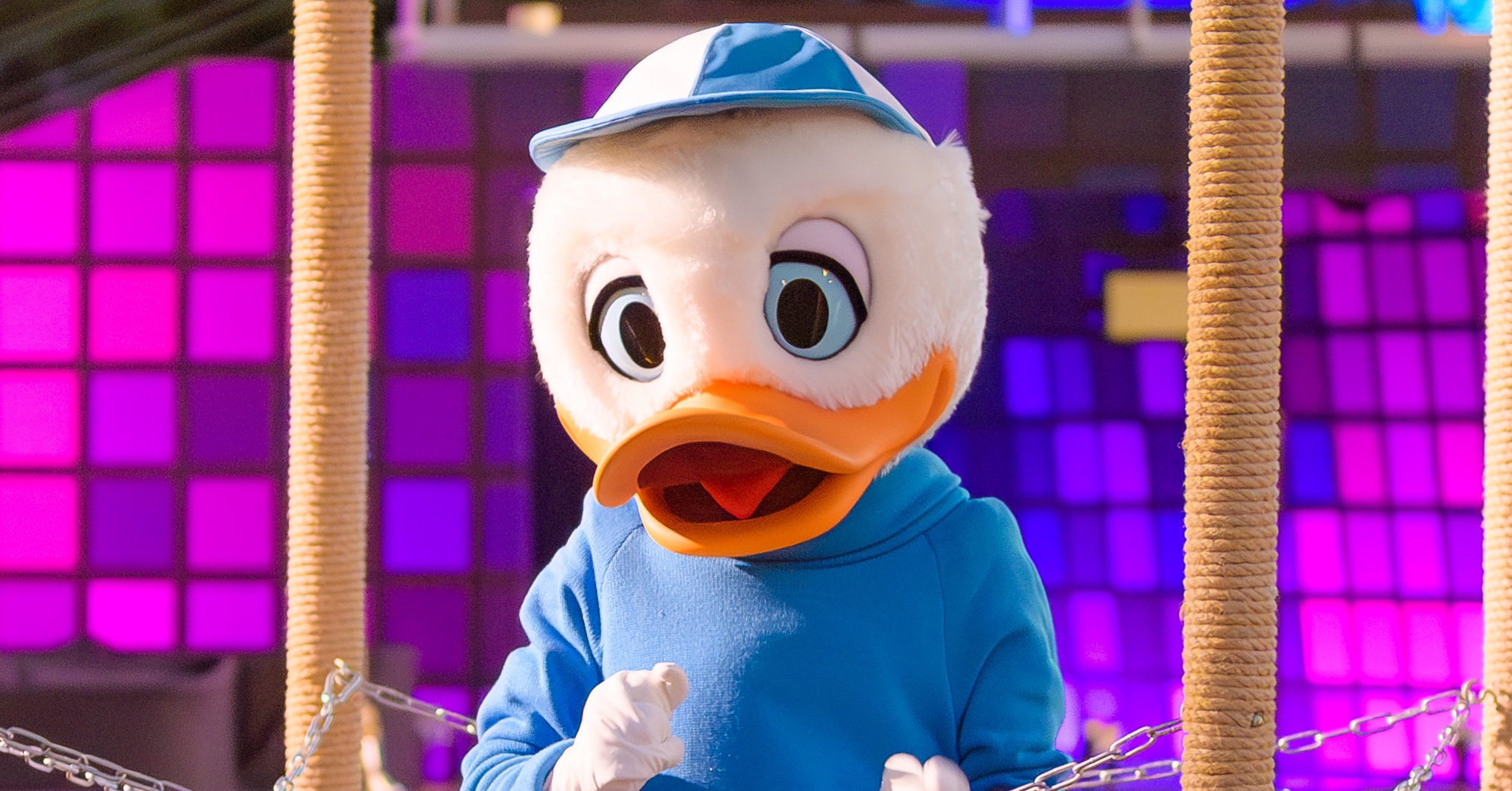 デューイのカード