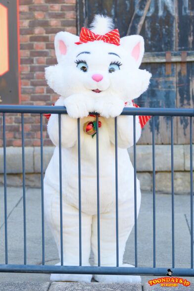 TDS クリスマス アメリカンウォーターフロント フリーグリーティング マリー