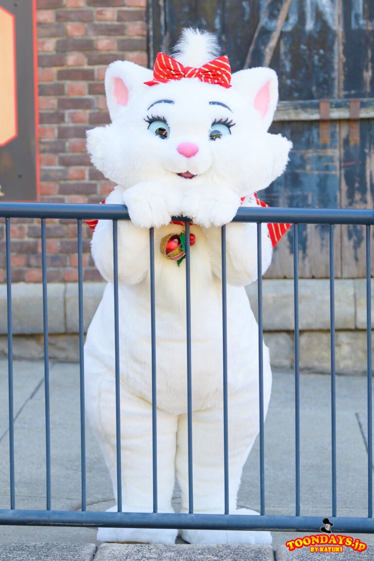 TDS クリスマス アメリカンウォーターフロント フリーグリーティング マリー