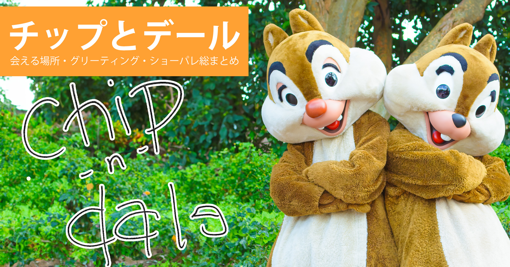 チップとデールのカード