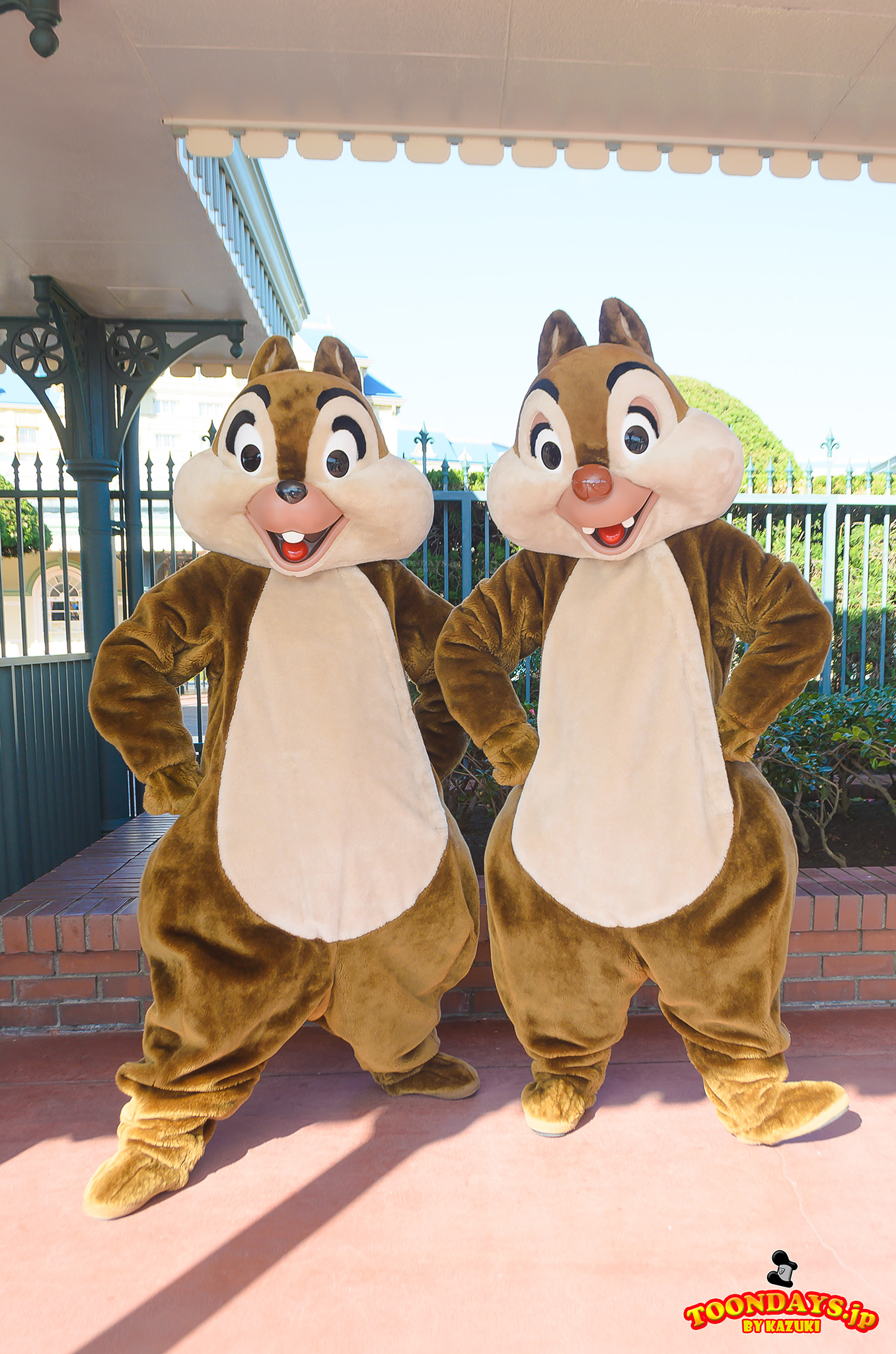 TDL エントランス グリーティング 東京ディズニーランドハッピー15エントリー　チップ　デール　クラリス