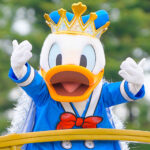 5TDL ディズニー・パルパルーザドナルドのクワッキー・ダックシティ 2024 クワッキーセレブレーション★ドナルド・ザ・レジェンド！ ドナルドダック