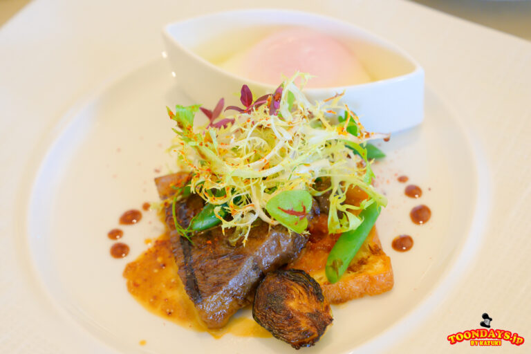 TDR ファンタジースプリングスホテル グランドシャトー ラ・リベリュール 9