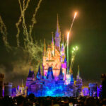 TDL Reach for the Stars リーチ・フォー・ザ・スターズ 27
