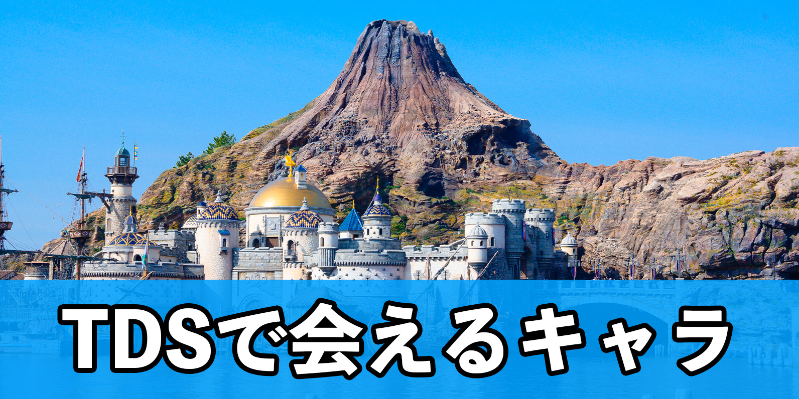 新バナー_TDS