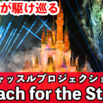 TDL Reach for the Stars リーチ・フォー・ザ・スターズ 48