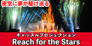 TDL Reach for the Stars リーチ・フォー・ザ・スターズ 48